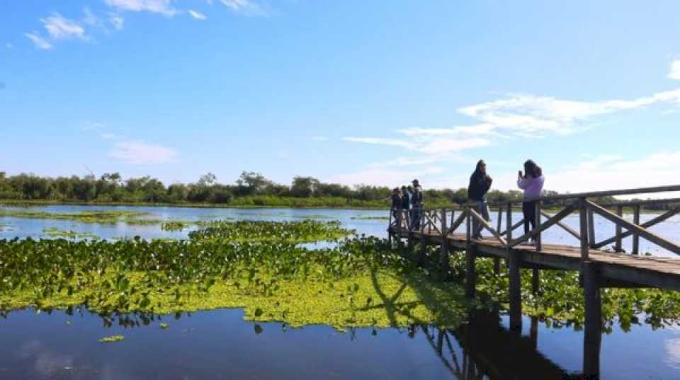 Isla Las Damas: un refugio natural para disfrutar en Corrientes