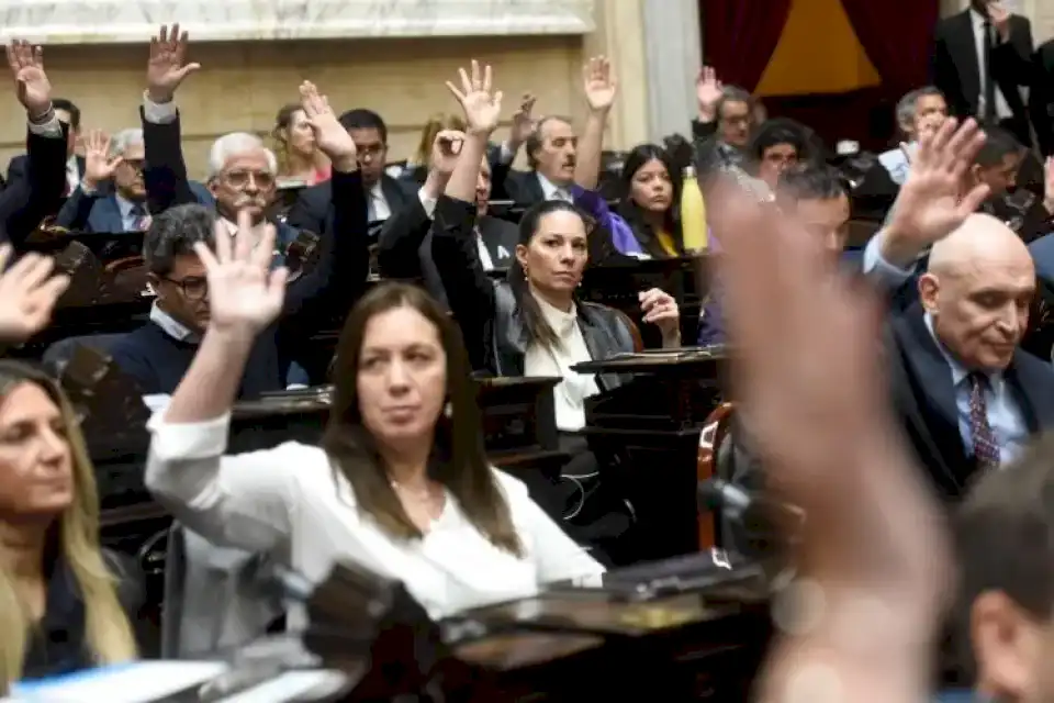 la-diputada-de-concordia,-nancy-ballejos,-quien-asumio-en-lugar-de-galimberti,-voto-a-favor-de-milei-y-en-contra-de-la-ley-de-financiamiento-universitario.