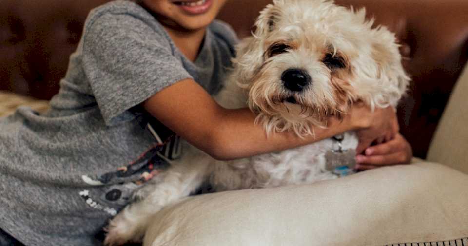 abren-una-busqueda-de-familia-adoptiva-para-un-nino-de-nueve-anos