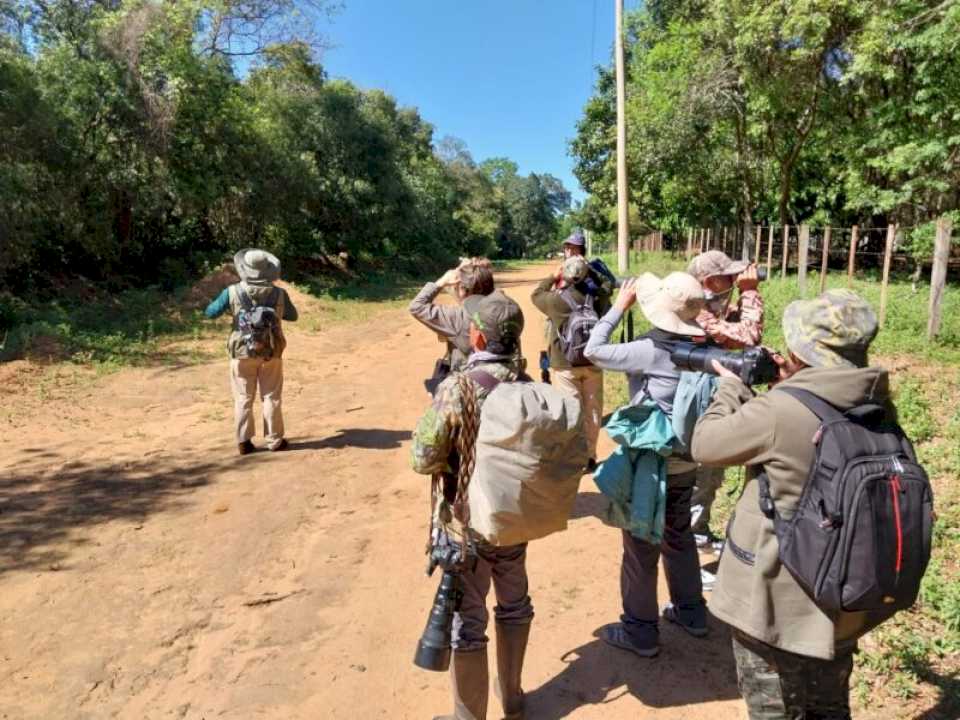 Ituzaingó deslumbra con el avistaje de más de 430 aves autóctonas