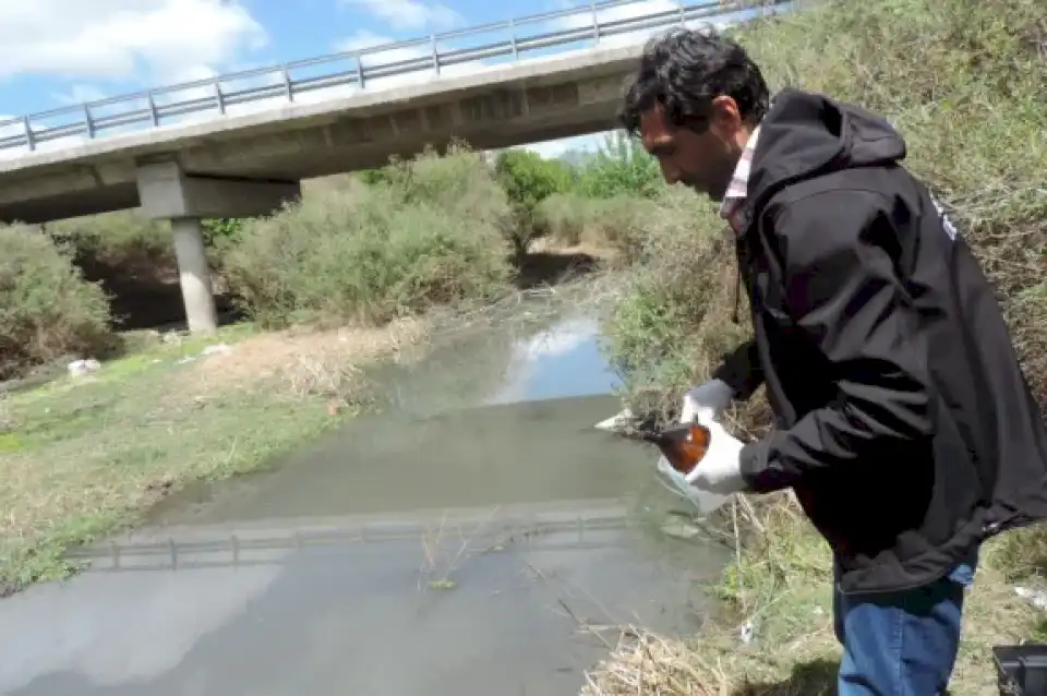 Se conocieron las causas de la mortandad de carpas en el río Conlara