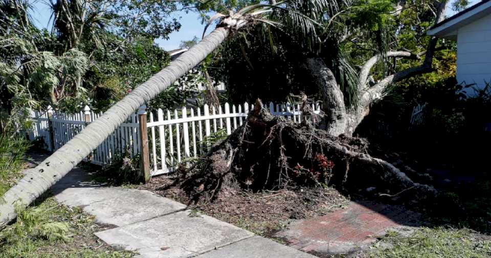 una-mujer-murio-aplastada-por-un-arbol-mientras-ayudaba-a-limpiar-los-escombros-que-dejo-el-huracan-milton