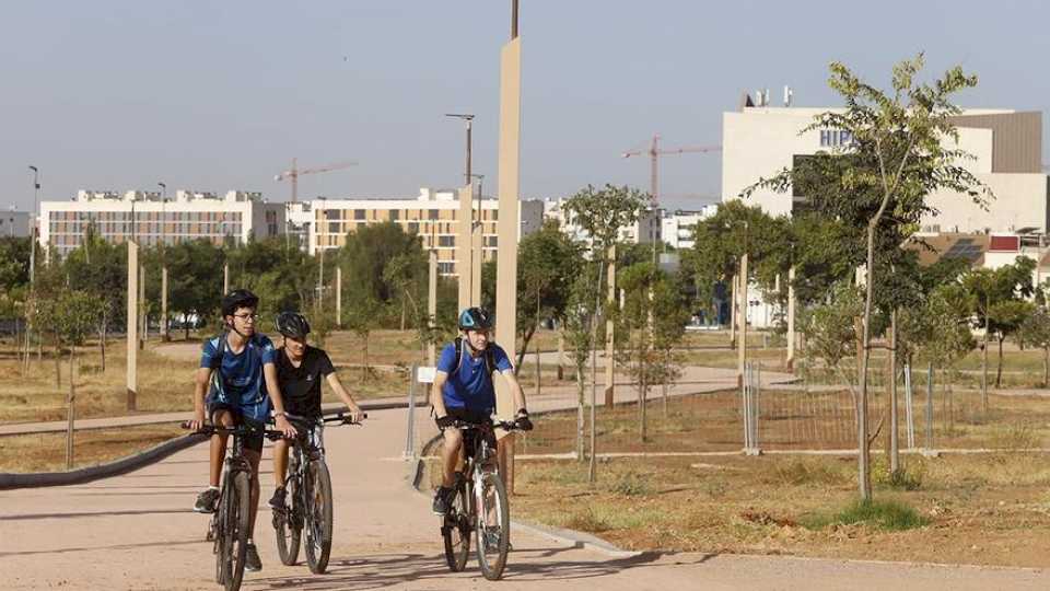 El nuevo contrato para las zonas verdes de Córdoba duplica presupuesto y metros cuadrados de mantenimiento