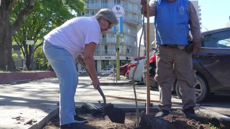 «hacen-falta-muchos-arboles,-aportan-aire-y-frescura»:-silvia-ayudo-a-plantar-siete-jacaranda-en-la-plaza-alberdi