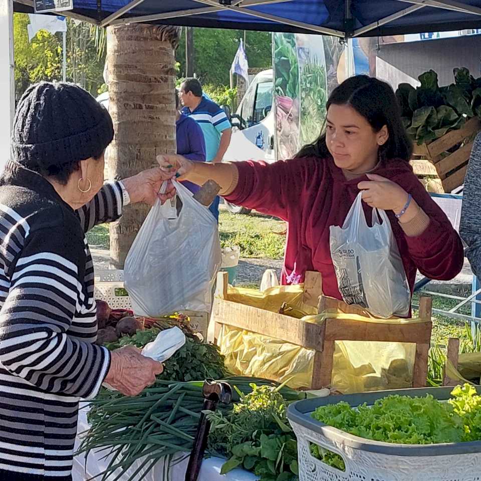 SAF: El Programa para la economía familiar visitará el barrio Juan Domingo Perón