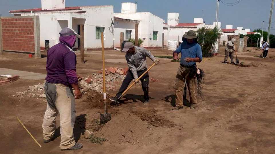 Continúan la plantación de árboles en barrios de Colonia El Simbolar