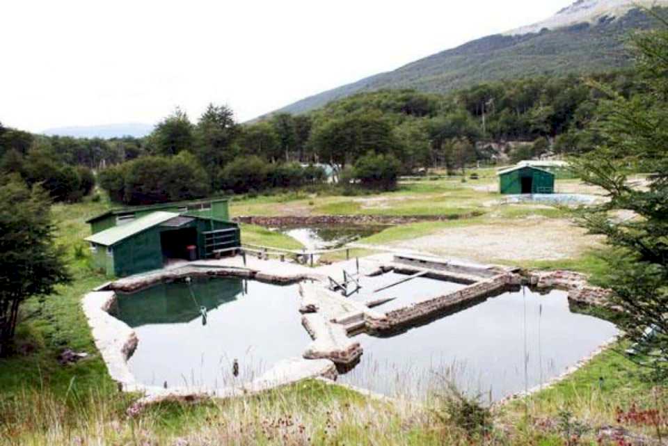 Fallo judicial le devuelve a Tolhuin las termas del Río Valdez