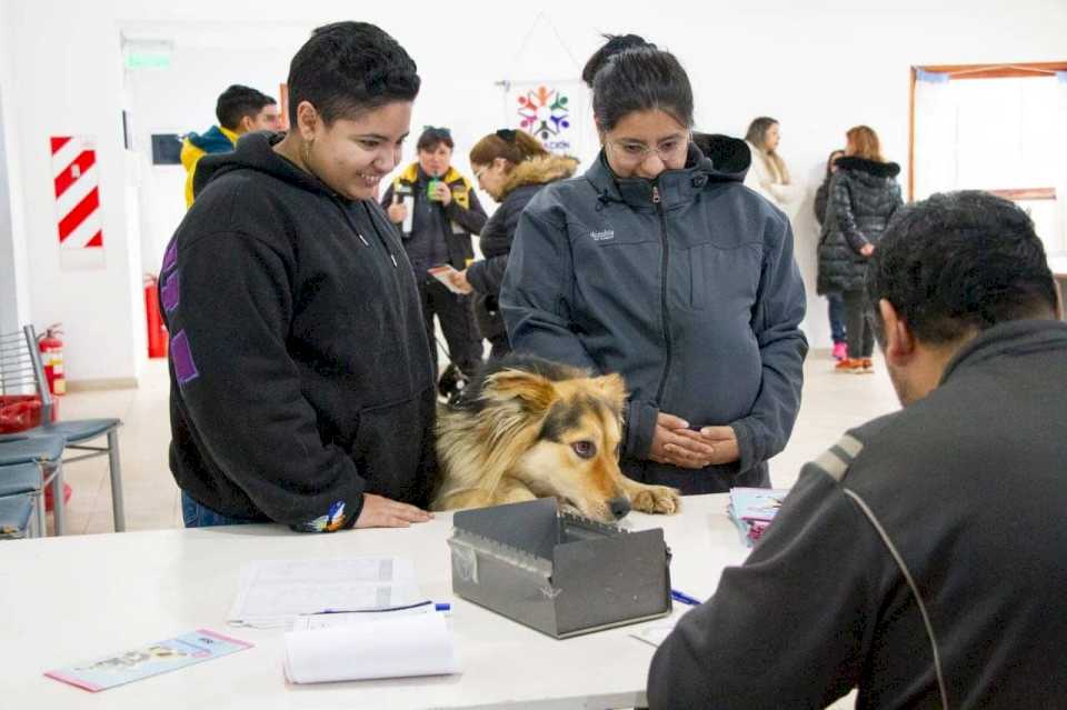 se-realizara-una-nueva-jornada-de-vacunacion-antirrabica-y-chipeo