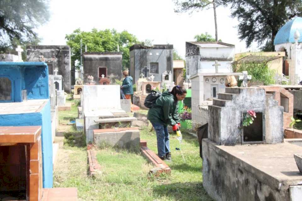 Amplio operativo conjunto para erradicar criaderos de mosquitos en el Cementerio municipal