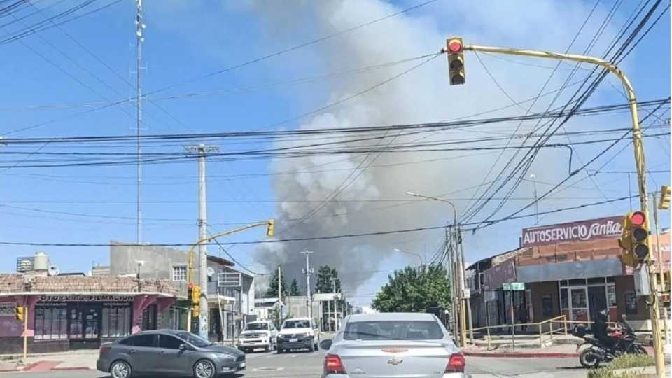 bomberos-combaten-un-importante-incendio-forestal-en-plottier