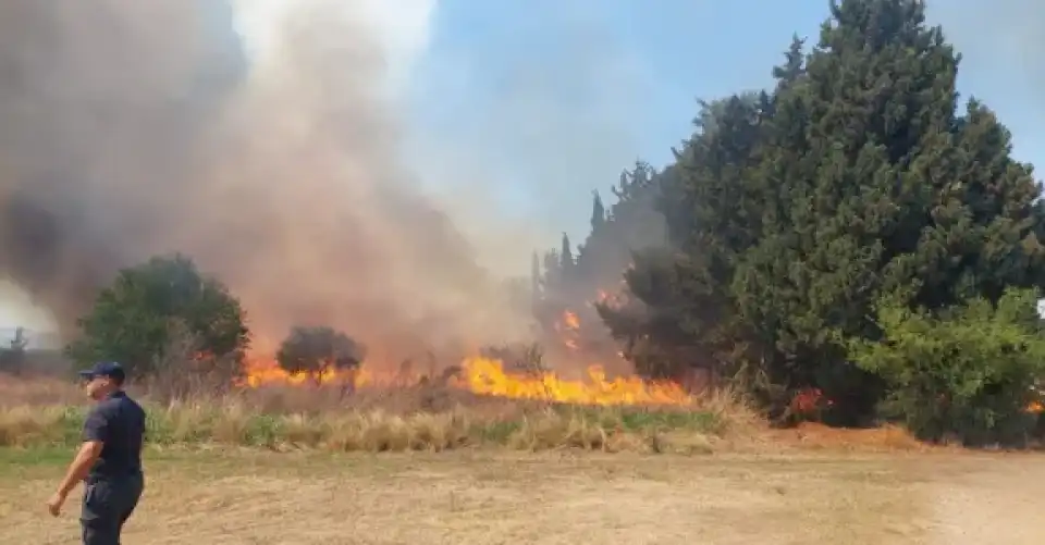 controlaron-un-incendio-forestal-en-ruta-1,-en-inmediaciones-de-los-molles