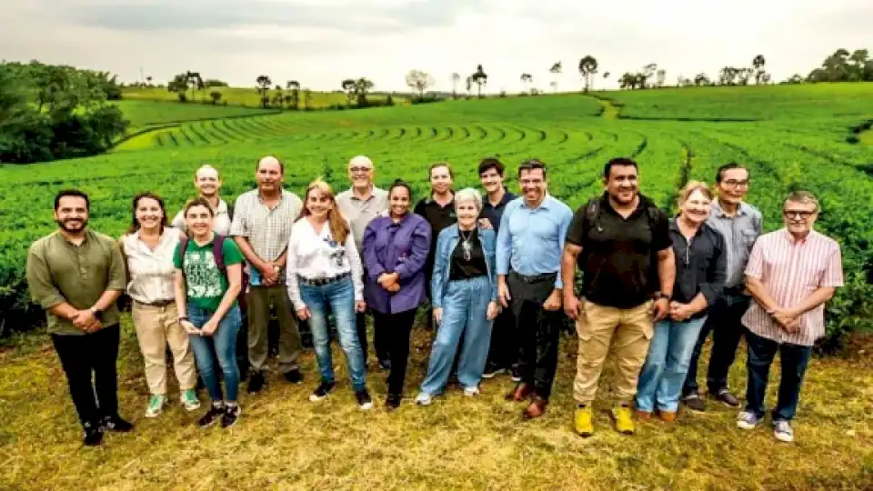 mentoria-internacional-para-productores-tealeros-misioneros