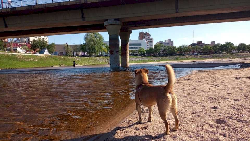 clima-perfecto-para-el-dia-de-la-madre:-maxima-de-31°-y-sol-radiante