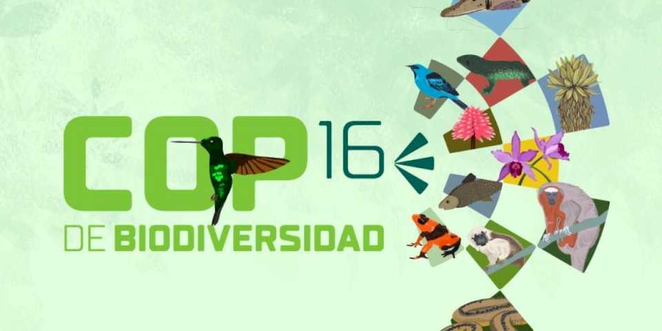 arranca-la-cop16,-debate-mundial-sobre-la-biodiversidad:-cual-es-la-posicion-de-argentina