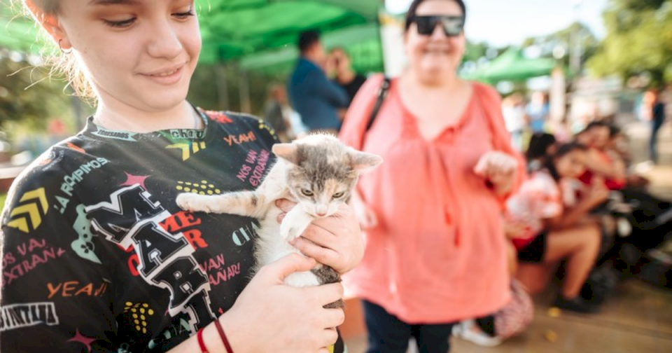 Vuelven las jornadas de castración gratuita de mascotas: cómo sacar turno y dónde ir