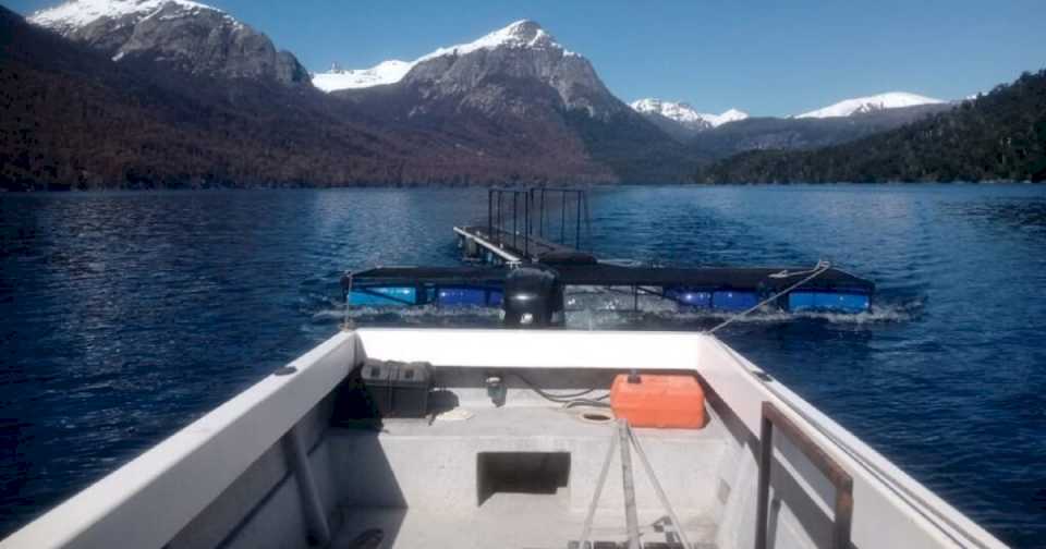 detectan-un-muelle-ilegal-en-uno-de-los-extremos-del-lago-nahuel-huapi-en-bariloche