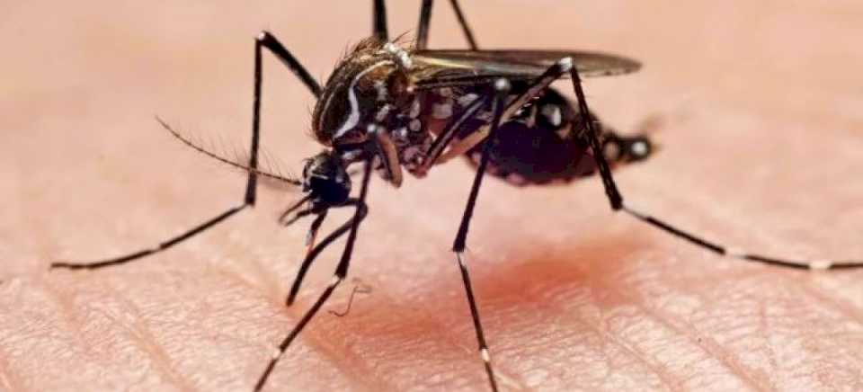 INVESTIGAN POSIBLES CASOS DE DENGUE Y PIDEN EXTREMAR CUIDADOS