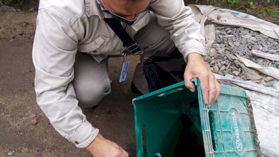 prevencion-de-dengue:-la-importancia-de-tomar-acciones-despues-de-las-lluvias