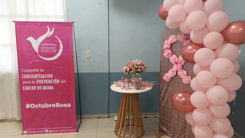 Octubre Rosa: Abriendo Surcos brindó charla informativa en UPCN