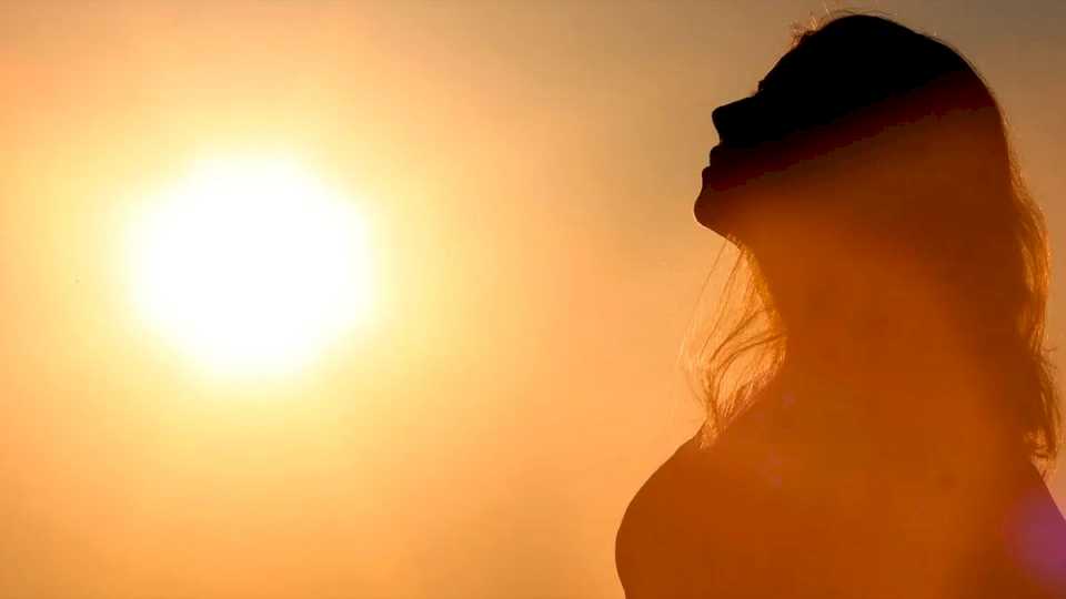 ¿Qué le pasa a tu cerebro cuando falta vitamina D?