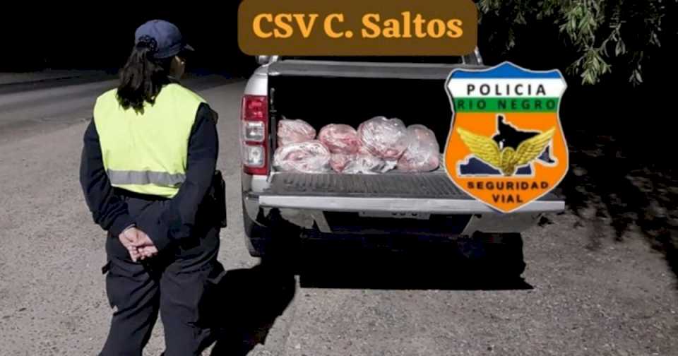 Secuestran 65 toneladas de carne vacuna en Cinco Saltos