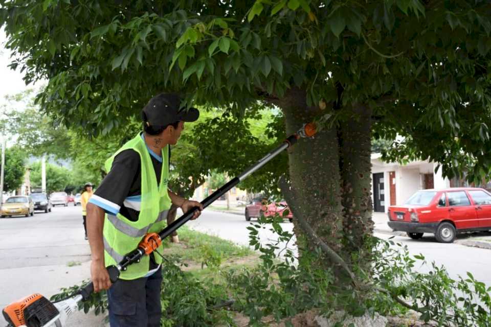 se-realizaron-nuevas-podas-de-seguridad-en-el-barrio-autodromo