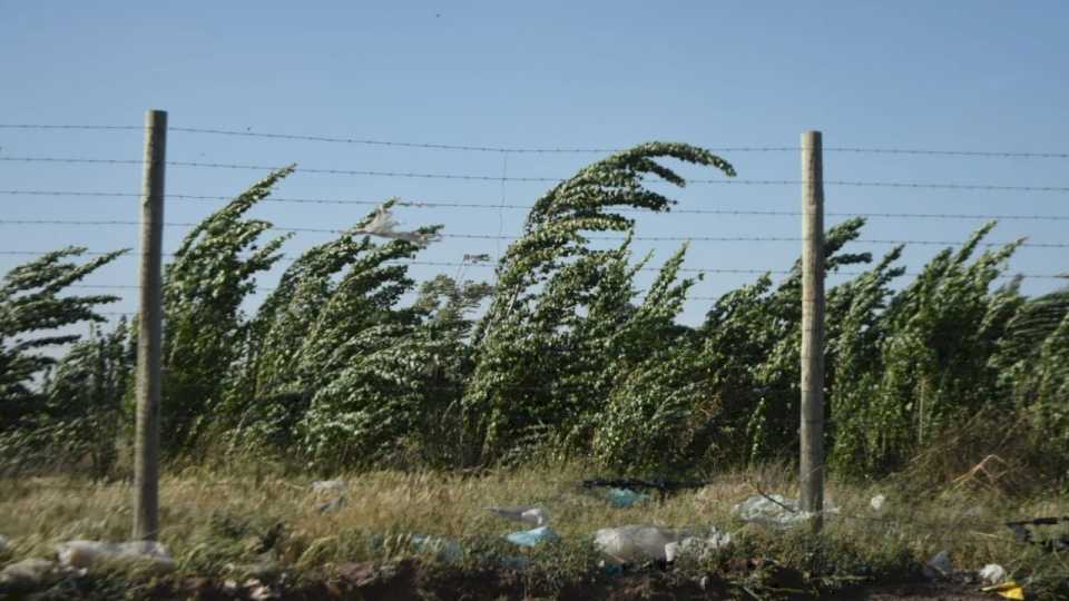 Clima en Neuquén: vuelve el viento y se anuncian lluvias aisladas