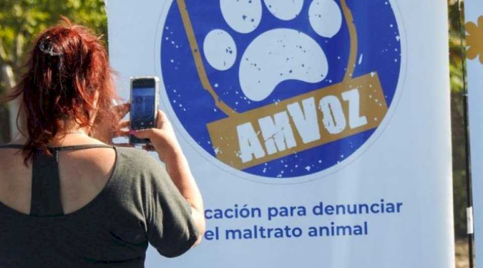 Tres perros más fueron rescatados del maltrato animal gracias a la App AMVOZ