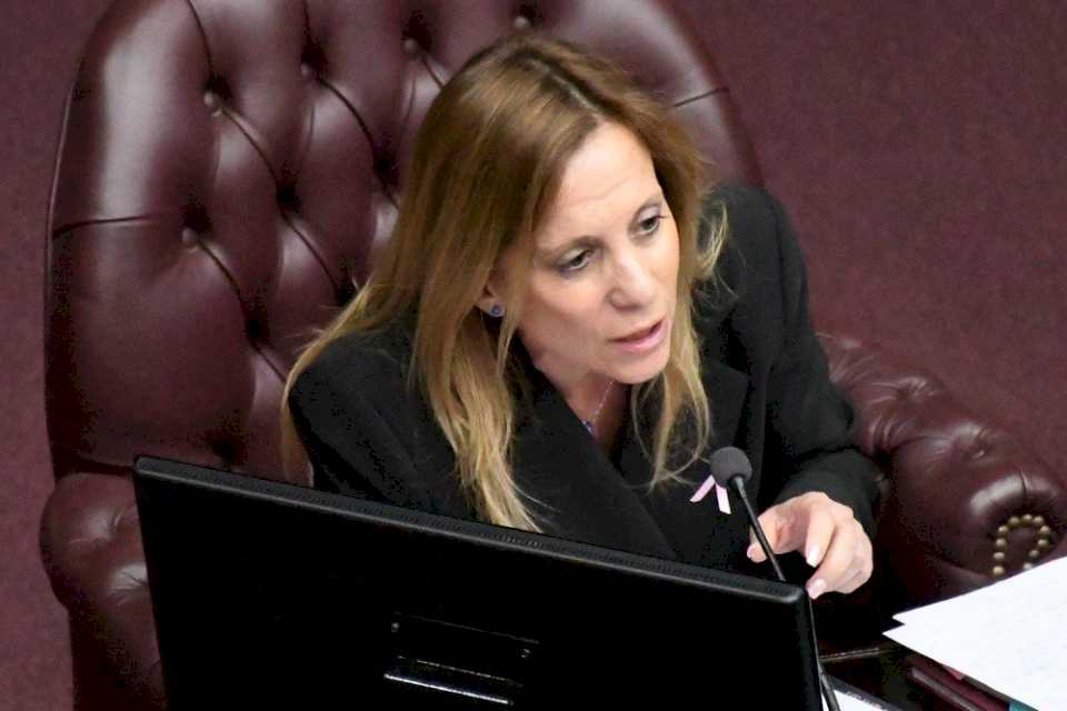 Diputada Sosa Araujo: “Le estamos entregando al CFI $8.000 millones para que baje solamente $2.500 millones en 3 líneas de crédito”