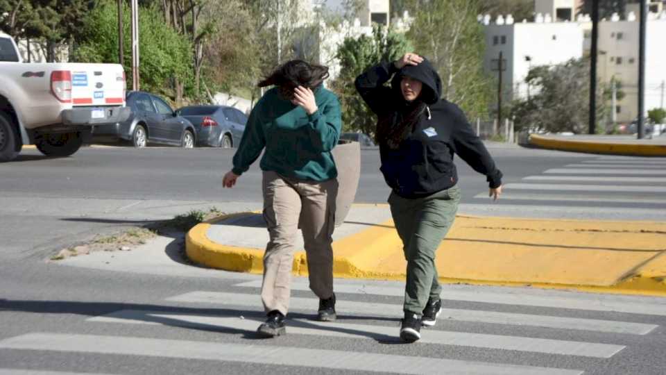 Clima en Neuquén: el viento no afloja en toda la región