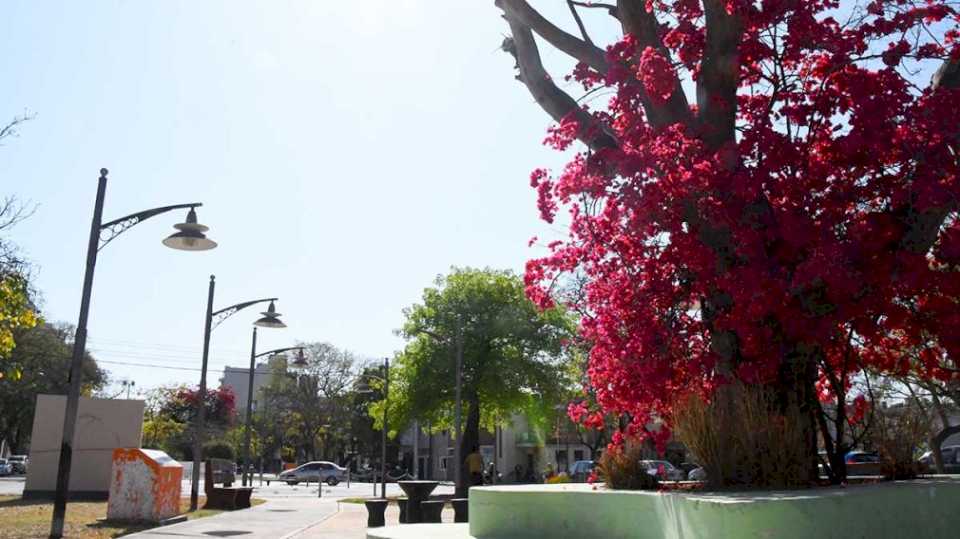 Un viernes soleado y muy agradable sobre Santiago del Estero