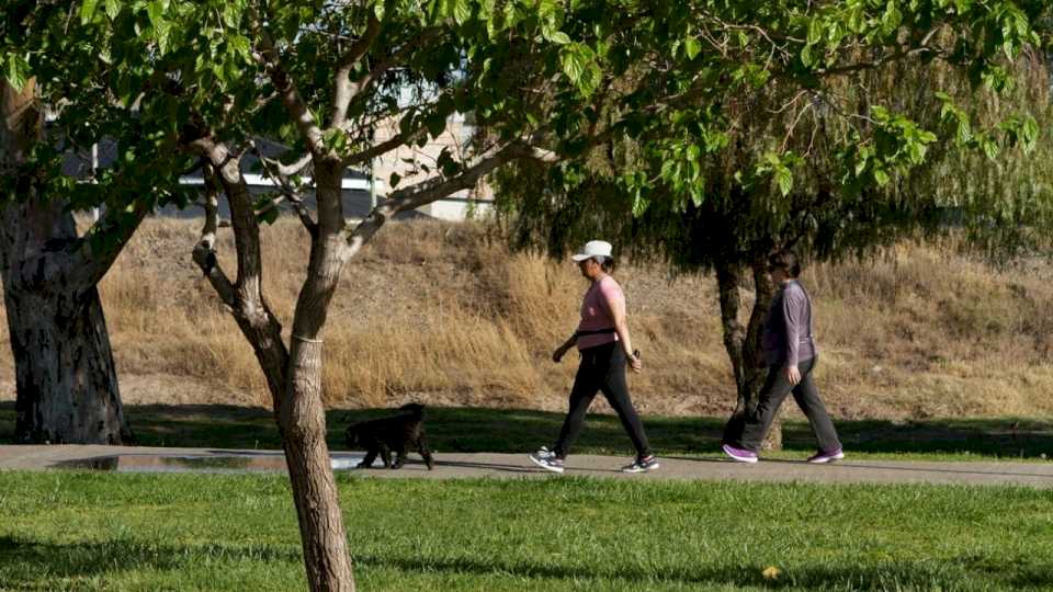 tiempo-en-neuquen:-el-domingo-sera-otro-hermoso-dia-de-primavera-para-disfrutar