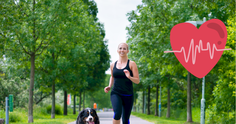 mascota:-adios-al-«gym-bro»,-hola-al-entrenamiento-en-casa-con-tu-perro