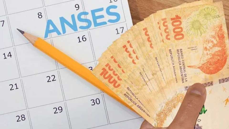 calendario-de-anses:-cuando-se-cobra-la-auh-en-noviembre-y-cuales-son-los-montos