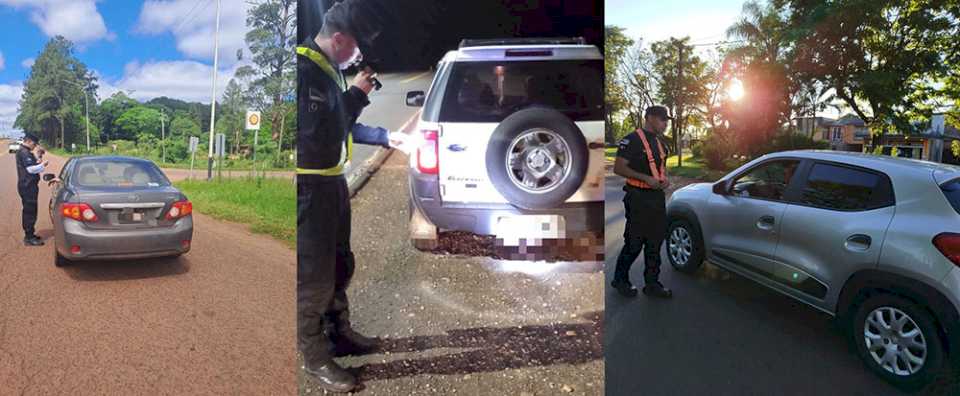 Amplio operativo policial para dar con el conductor que atropelló y mató a un puma en Puerto Iguazú