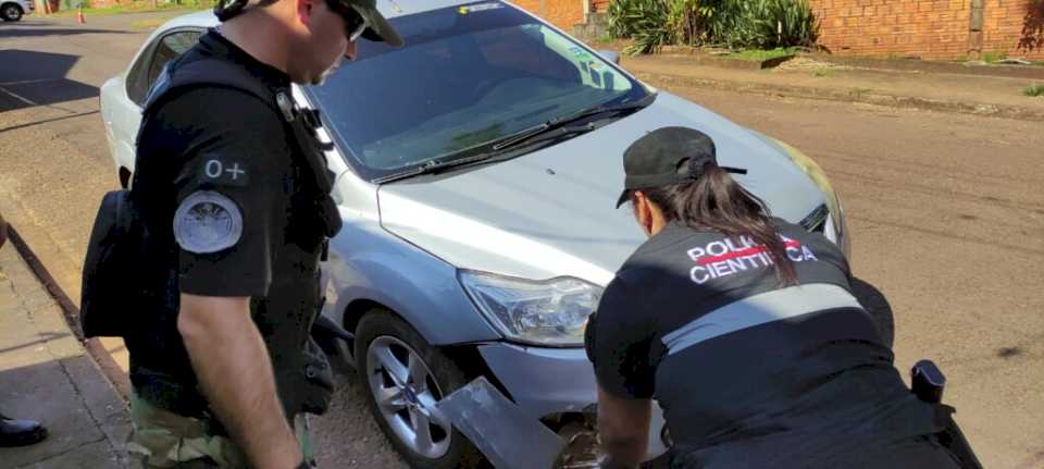 puma-atropellado-en-iguazu:-la-pintura-del-auto-en-el-cuerpo-del-animal,-la-clave-para-encontrar-al-conductor