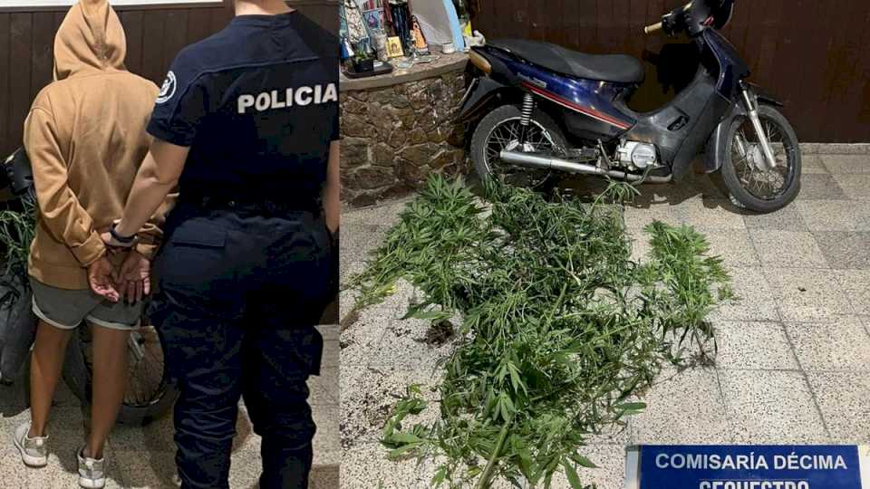 aprehendieron-a-una-mujer,-secuestran-una-moto-y-plantines-de-marihuana