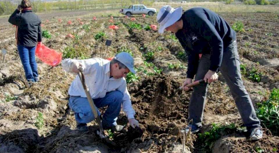 La extensión rural, en una cumbre organizada en Salta