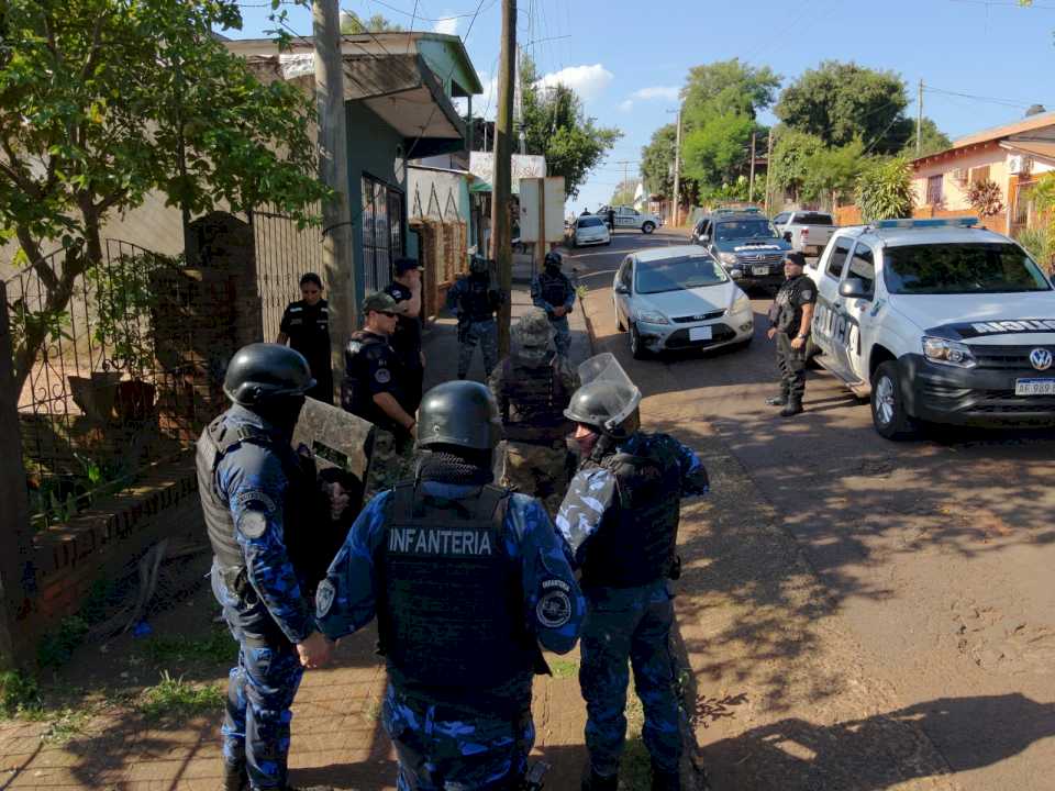 Un demorado por la muerte del puma adulto en ruta 12 de Iguazú