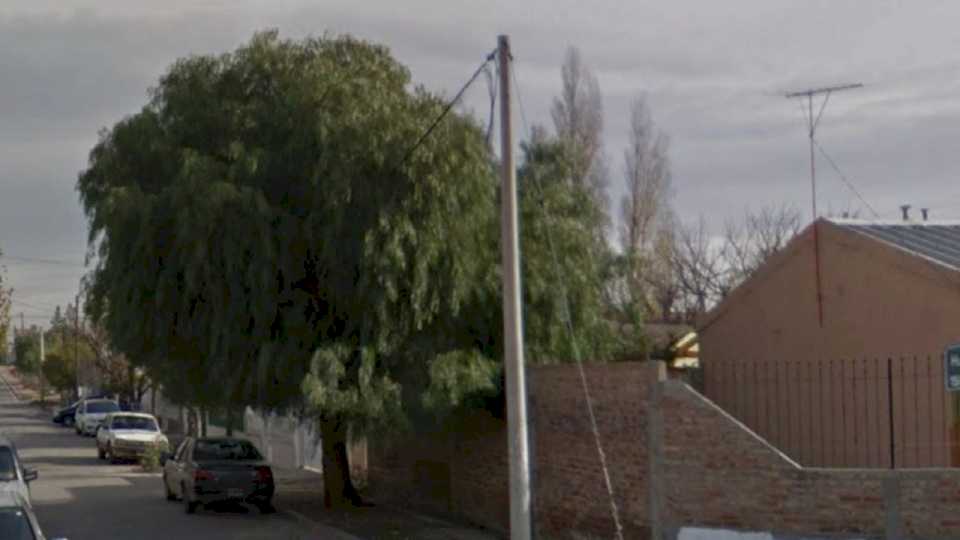 Arrancaron un árbol plantado en homenaje a músico neuquino