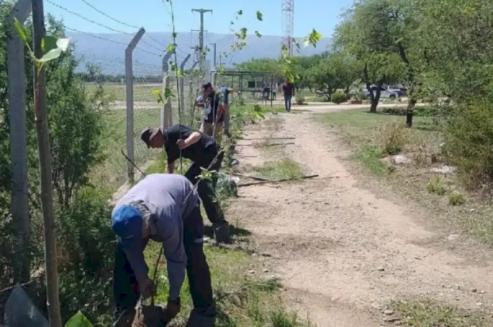 Terminaron la triple cortina forestal de ‘El Jote’