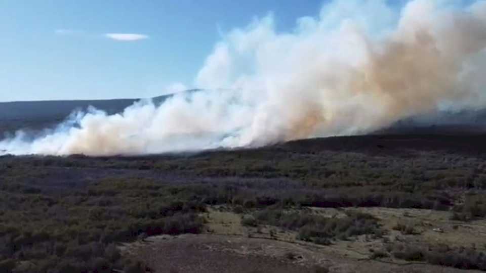 Combaten incendio en un campo de Río Pico