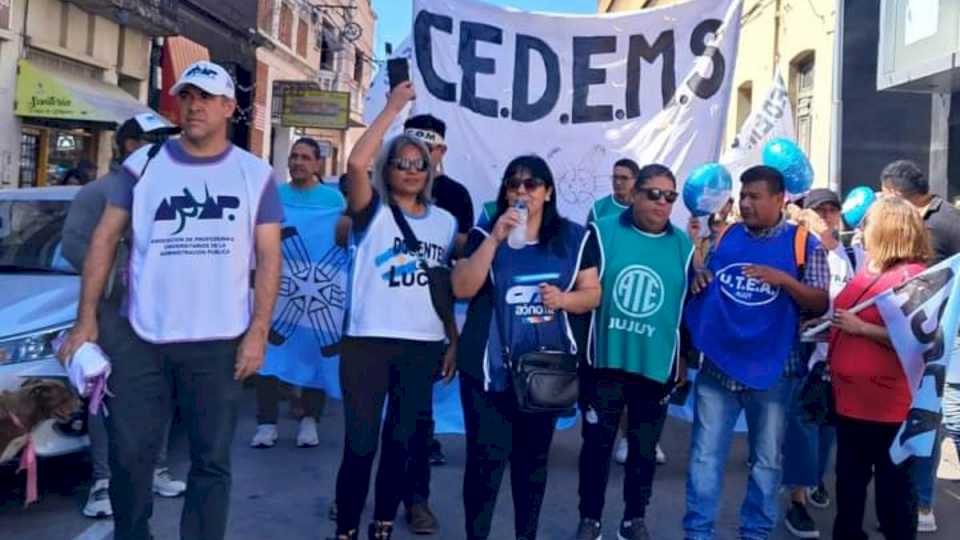 La Intergremial marchó por calles de San Salvador de Jujuy