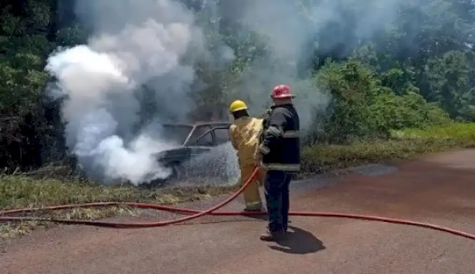 Bomberos controlan incendio de vehículo y salvan pinar en San Pedro