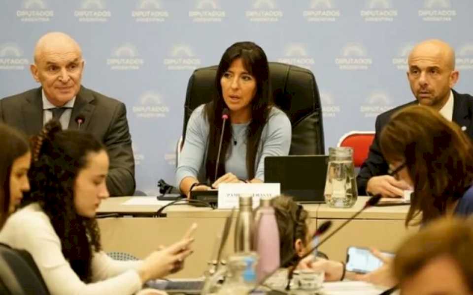 diputados:-hay-dictamen-a-favor-de-la-privatizacion-de-aerolineas-argentinas