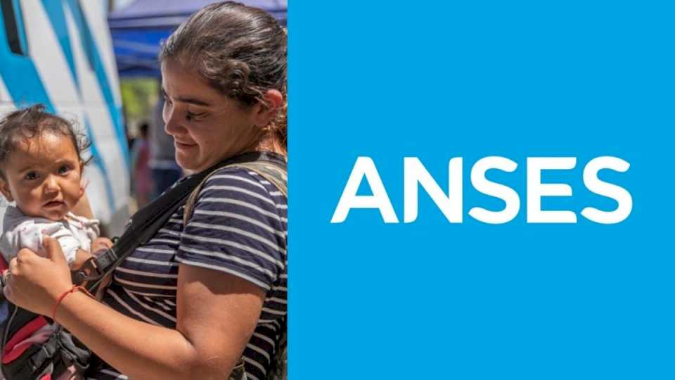 ANSES confirmó las fechas de pago para AUH y SUAF en noviembre