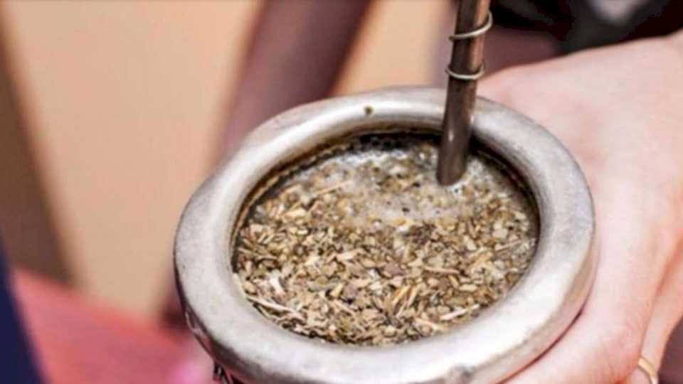 mate-rico-y-saludable:-cual-es-la-tecnica-indicada-para-cebar-un-buen-mate