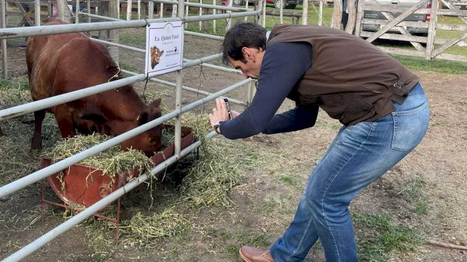 Pablo Cervi resaltó el potencial del campo en la Expo Bovinos de Junín de los Andes