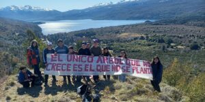 quince-escuelas-de-chubut-seleccionadas-para-estimular-los-proyectos-solidarios