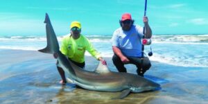 tiburones:-batallas-contra-los-mas-grandes